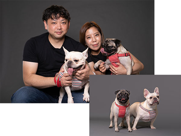 プレミアムストーリープラン